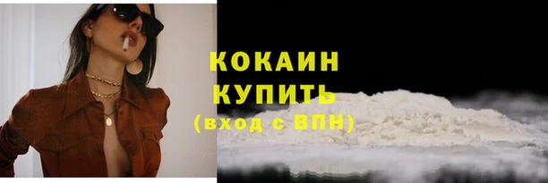 ПСИЛОЦИБИНОВЫЕ ГРИБЫ Абаза