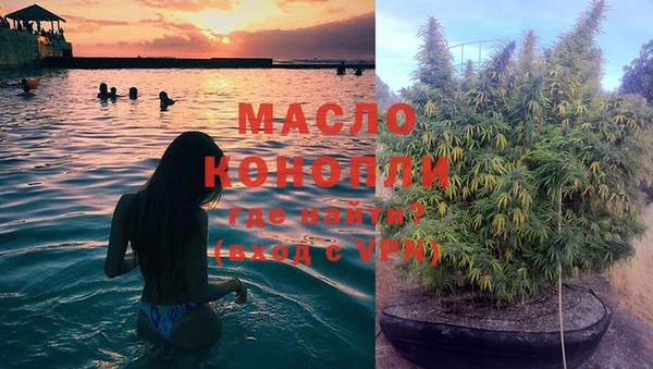 дживик Абинск