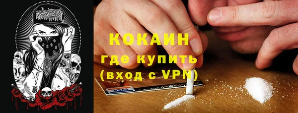 гашик Сафоново