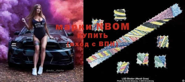 ПСИЛОЦИБИНОВЫЕ ГРИБЫ Абаза