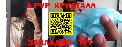 дживик Моздок