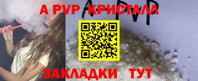 дживик Моздок