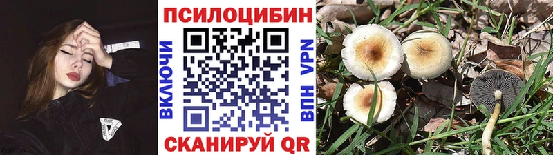 Галлюциногенные грибы мицелий  Дальнереченск 