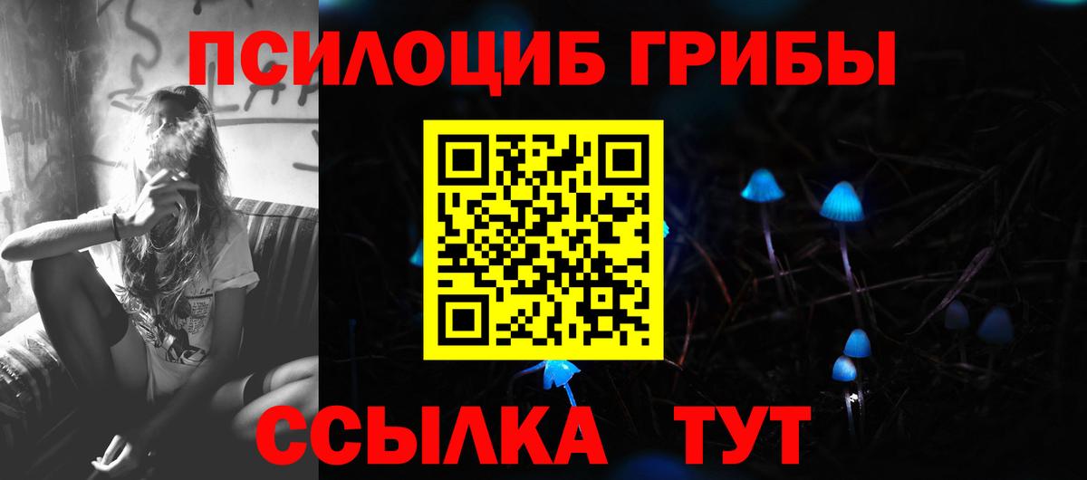 Псилоцибиновые грибы мухоморы  Псилоцибиновые грибы мухоморы  Вход с VPN  Дальнереченск 